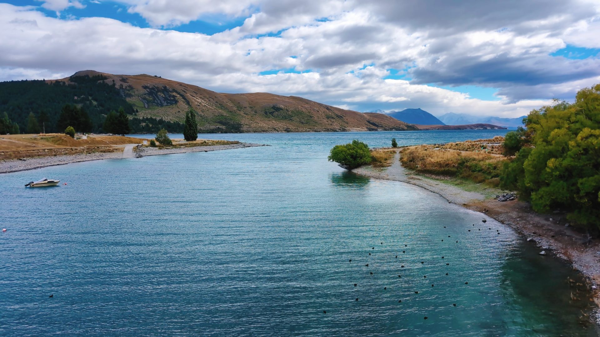 テカポ_ニュージーランド旅行_南島